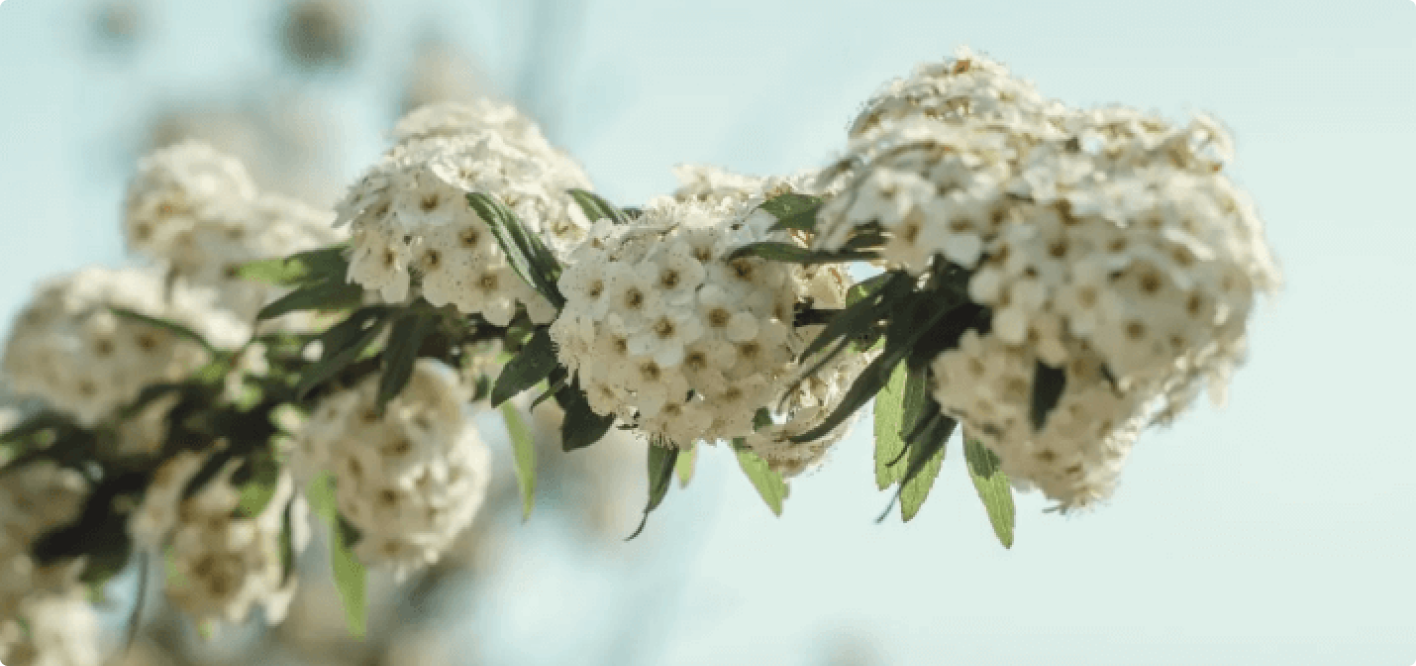 Main banner desktop